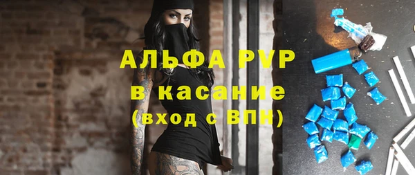 сатива Белоозёрский