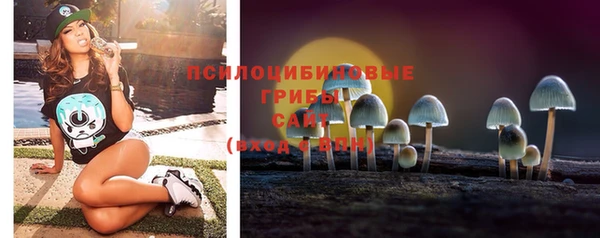 бутират Белокуриха