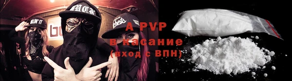 стаф Баксан
